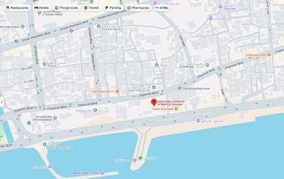google map image